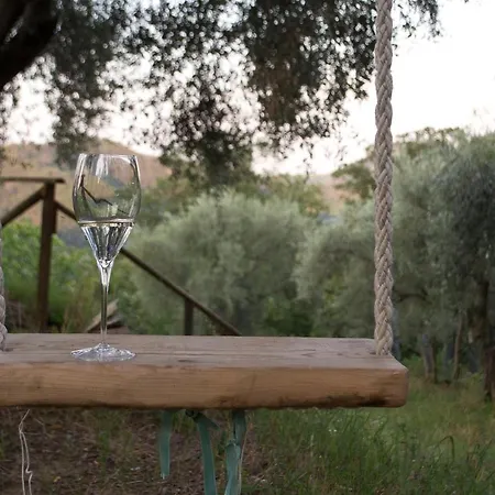 Ca' Amorino Bed & Breakfast *