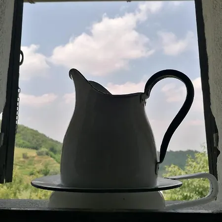 Ca' Amorino *