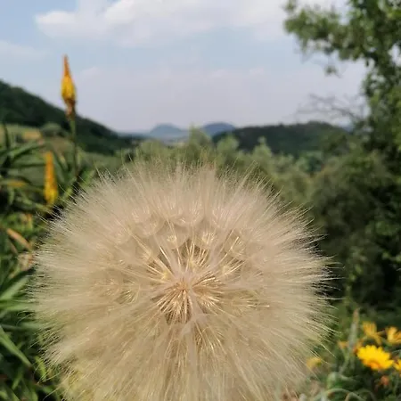 Ca' Amorino * Galzignano Terme