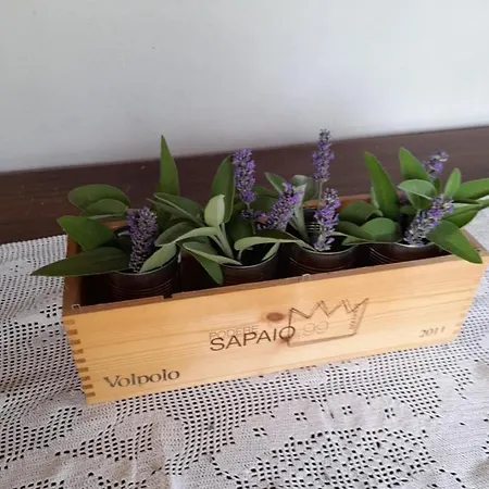 Ca' Amorino