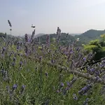 Ca' Amorino فندق مبيت وإفطار Galzignano Terme