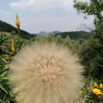 Ca' Amorino 4* Galzignano Terme