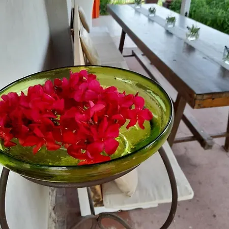 Ca' Amorino Bed and breakfast