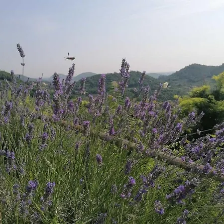 Ca' Amorino Bed and breakfast Galzignano Terme